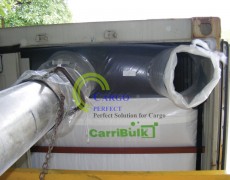 Carribulk Container Liner